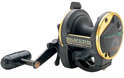 Daiwa Sealine SL20 SH Boat and Beach Multiplier - freddiethepillowandfriends.co.uk Daiwa Sealine SL20 SH Boat and Beach Multiplier