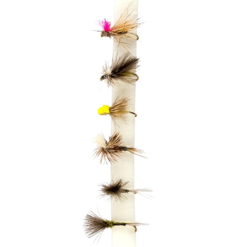 Snowbee River Nymphs Fly Selection - freddiethepillowandfriends.co.uk Snowbee River Nymphs Fly Selection