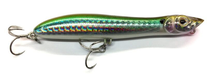Xorus Patchinko 100 Aji