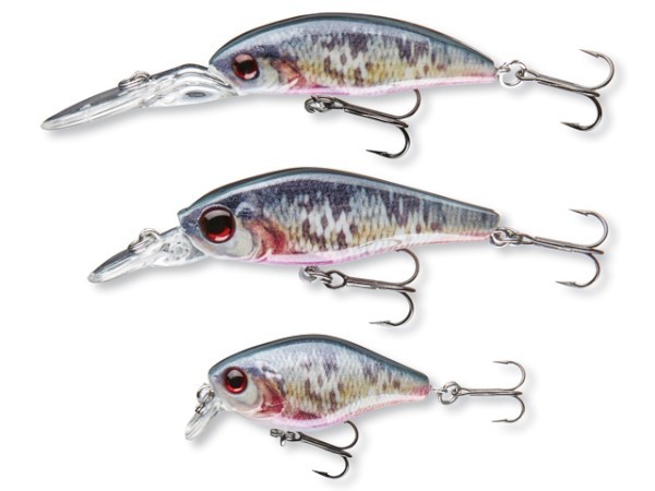 Cormoran Wobbler Lure Kit Dying Roach - freddiethepillowandfriends.co.uk Cormoran Wobbler Lure Kit Dying Roach