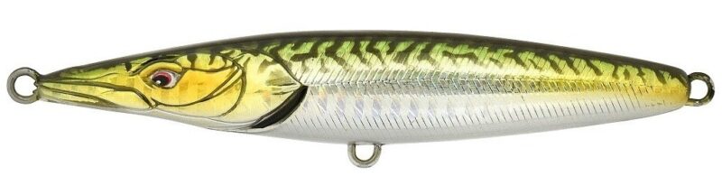 Xorus Asturie 110 Mackerel