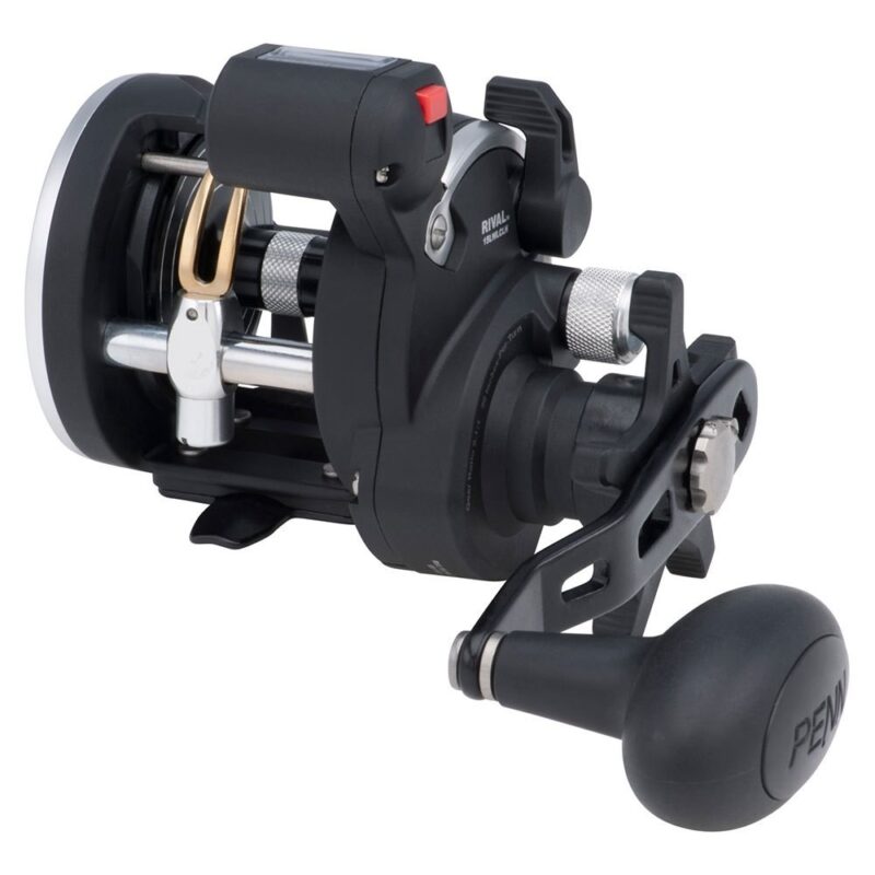 Penn Rival Line Counter Level Wind Boat Reels - freddiethepillowandfriends.co.uk Penn Rival Line Counter Level Wind Boat Reels
