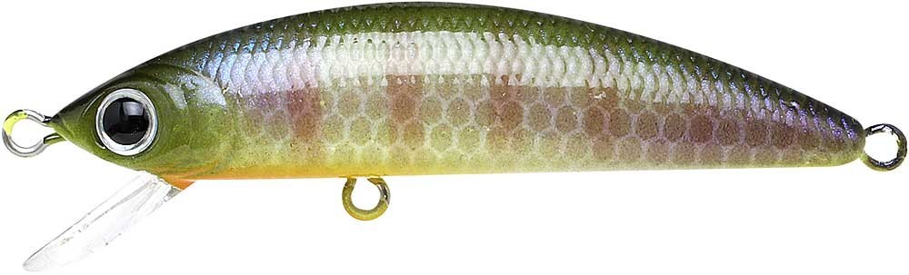 Lucky Craft Humpback Minnow 50SP BE Gill - freddiethepillowandfriends.co.uk Lucky Craft Humpback Minnow 50SP BE Gill