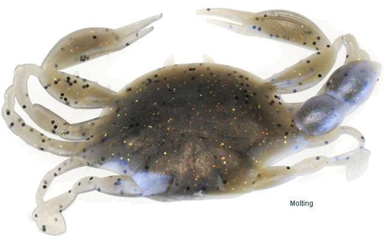 Berkley Gulp Peeler Crab 2in Molting - freddiethepillowandfriends.co.uk Berkley Gulp Peeler Crab 2in Molting