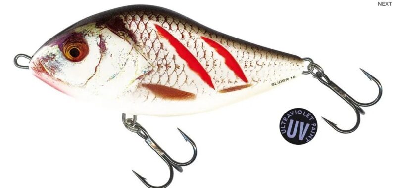 Salmo Slider 7cm Sinking 21g Wounded Real Grey Shiner - freddiethepillowandfriends.co.uk Salmo Slider 7cm Sinking 21g Wounded Real Grey Shiner