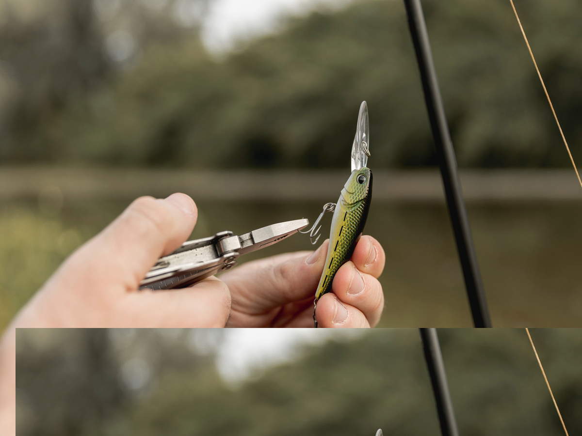 Fishing Setup - freddiethepillowandfriends.co.uk