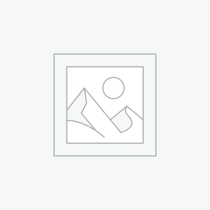 placeholder-3.webp - freddiethepillowandfriends.co.uk