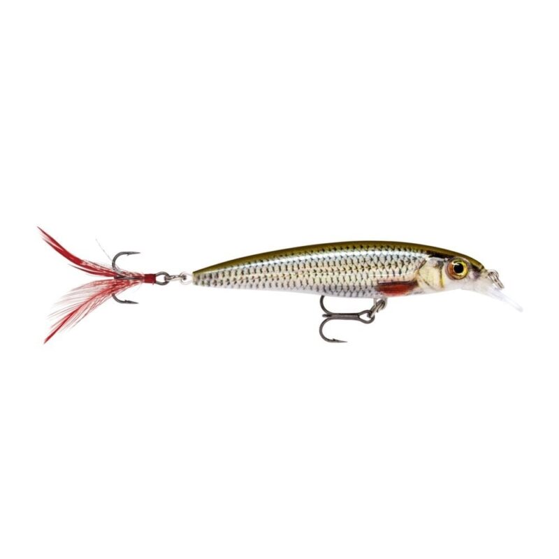 rapala-x-rap-lure-in-live-roach-pattern-p6701-21434_image - freddiethepillowandfriends.co.uk