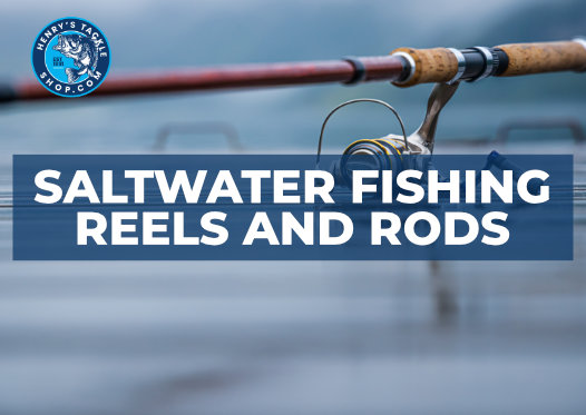 Cover Image -Saltwater Fishing Reels and Rods - freddiethepillowandfriends.co.uk Saltwater Fishing Reels and Rods
