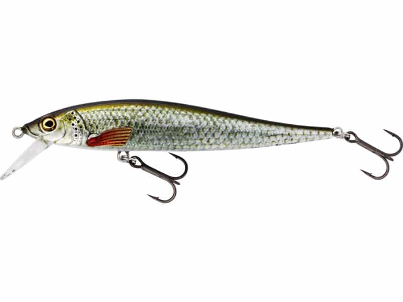 Westin Jerkbite SR Suspending Real Roach 9cm 8g